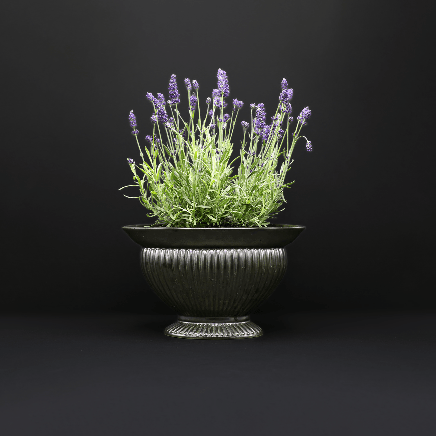 Pewter Mantel Vase. - FLORA BLACK