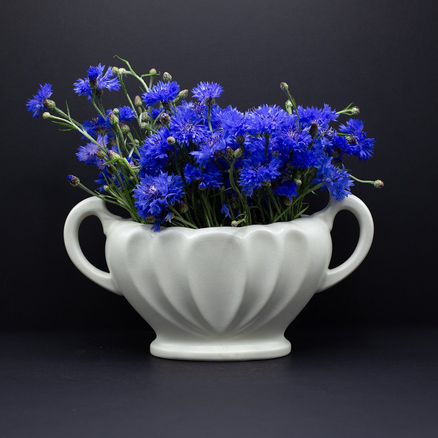 Small Mantel Vase with Upturning Handles - FLORA BLACK