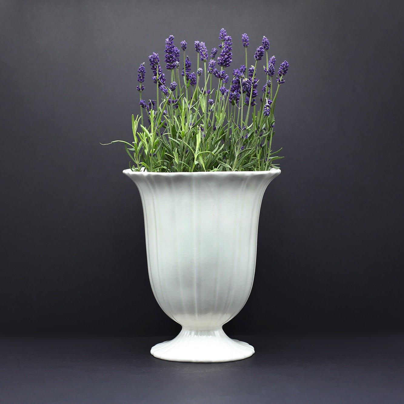 Tall Fluted Vase - FLORA BLACK